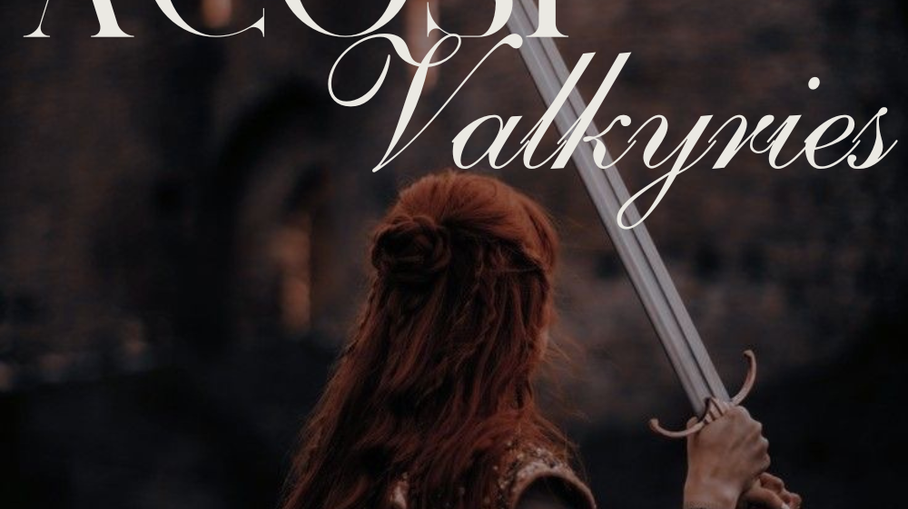 Chapter 2: Valkyrie Apparel